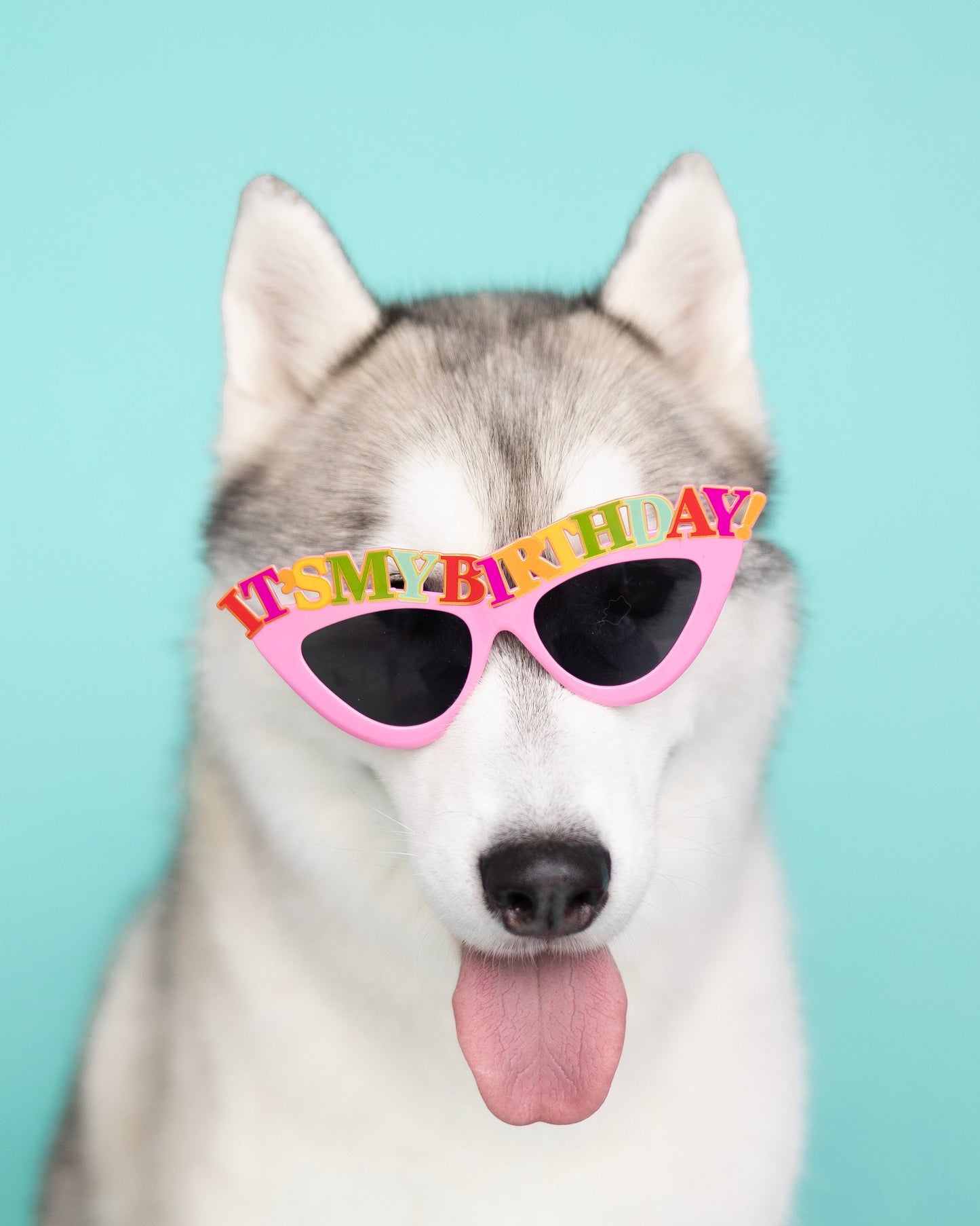Birthday Packages