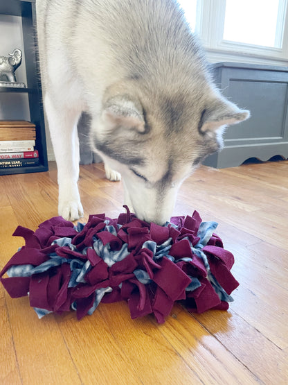 Snuffle Mat & Ball Workshop