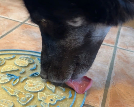 Add-on: Pumpkin Pie Lick Mat